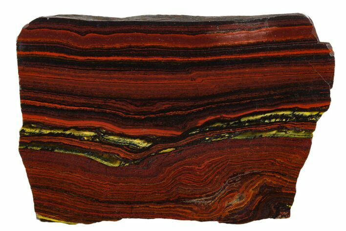 Polished Tiger Iron Stromatolite - Billion Years #129198